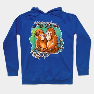 World's Awesomest Little Brother Hoodie